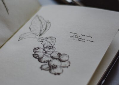 a drawing on a paper