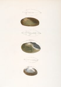 Photo By The New York Public Library