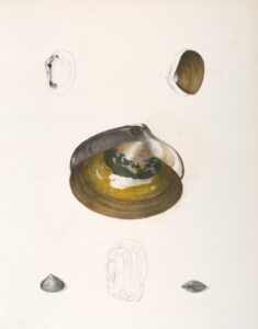 Photo By The New York Public Library