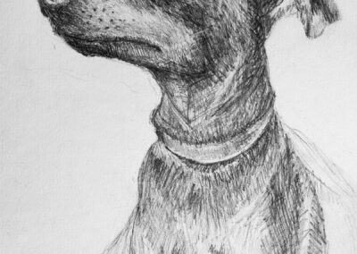 a drawing of a dog wearing a collar